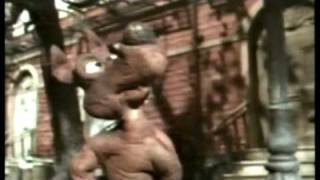 Dog Claymation - Down On The Corner