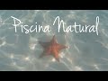 Piscina natural  huge starfishes in the middle of the ocean in the dominican republic