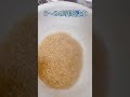 美味しい玄米の炊き方 #shorts #玄米 #美味しい炊き方 #料理