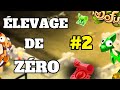 Elevage de zero ep2  on monte les dragodindes  dofus