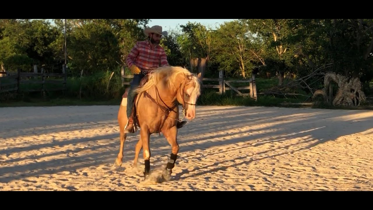 Inicio de medios lados y rollbacks, ejemplo con 3 caballos