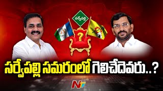 Sarvepalli : సర్వేపల్లి సమరంలో గెలిచేదెవరు..? | Gelupevaridi | Ntv