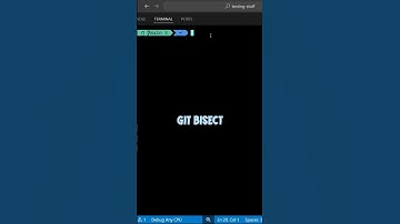 "git bisect" - Find the Commit that Introduced a Bug