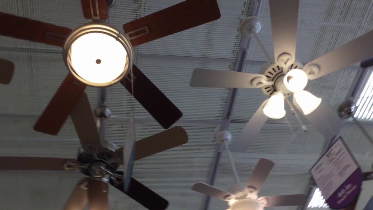 Ceiling fans and lights at Lowe’s on Labor Day🇺🇸 YouTube