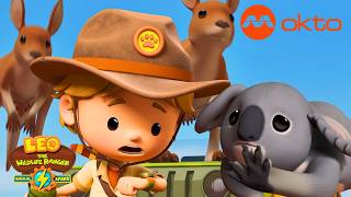 Rescuing a Little Koala! 🐨🌳 | Leo the Wildlife Ranger S8 EP1 | @mediacorpokto