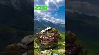 #diyar #doğa #keşfetedüş #keşfetbeniöneçıkar #keşfetteyiz #trend #welat #bahare #duet
