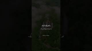 Surah Nahl Ayat No 97 | Sheikh Abdullah Al Mousa | Islamic Clip | Quran Recitation |