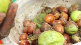 Shea Butter Processing - Peace Corps Ghana