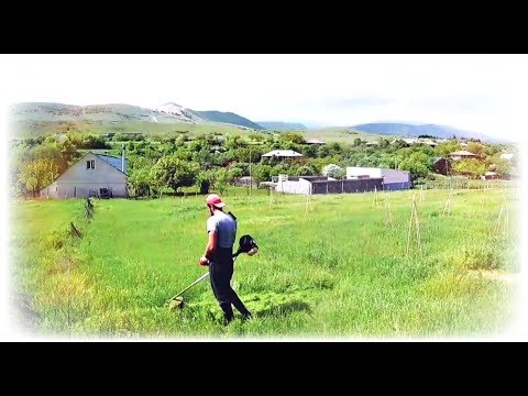 გელოვანი 2019 ბოლო ჟამი ეკუმენიზმი განშორება ციფრული გარემოდან შორს