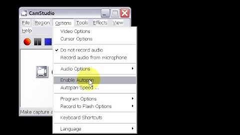 CamStudio Settings Overview - part 3 of 3