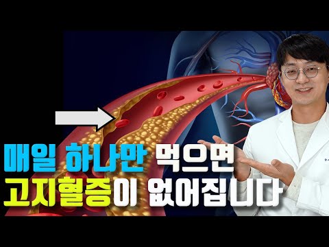   고지혈증 약 대신에 이걸 드시면 안전하게 낮출수 있습니다 혈관건강 고콜레스테롤 혈액순환 혈관 염증 개선