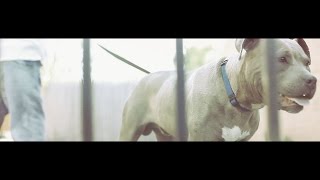 Type Prod. By Chopsquad | Hollywood Da G | Shot By @GaddyTcoe