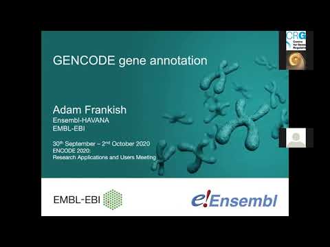 Video: GENCODE Pseudogeeniressurss