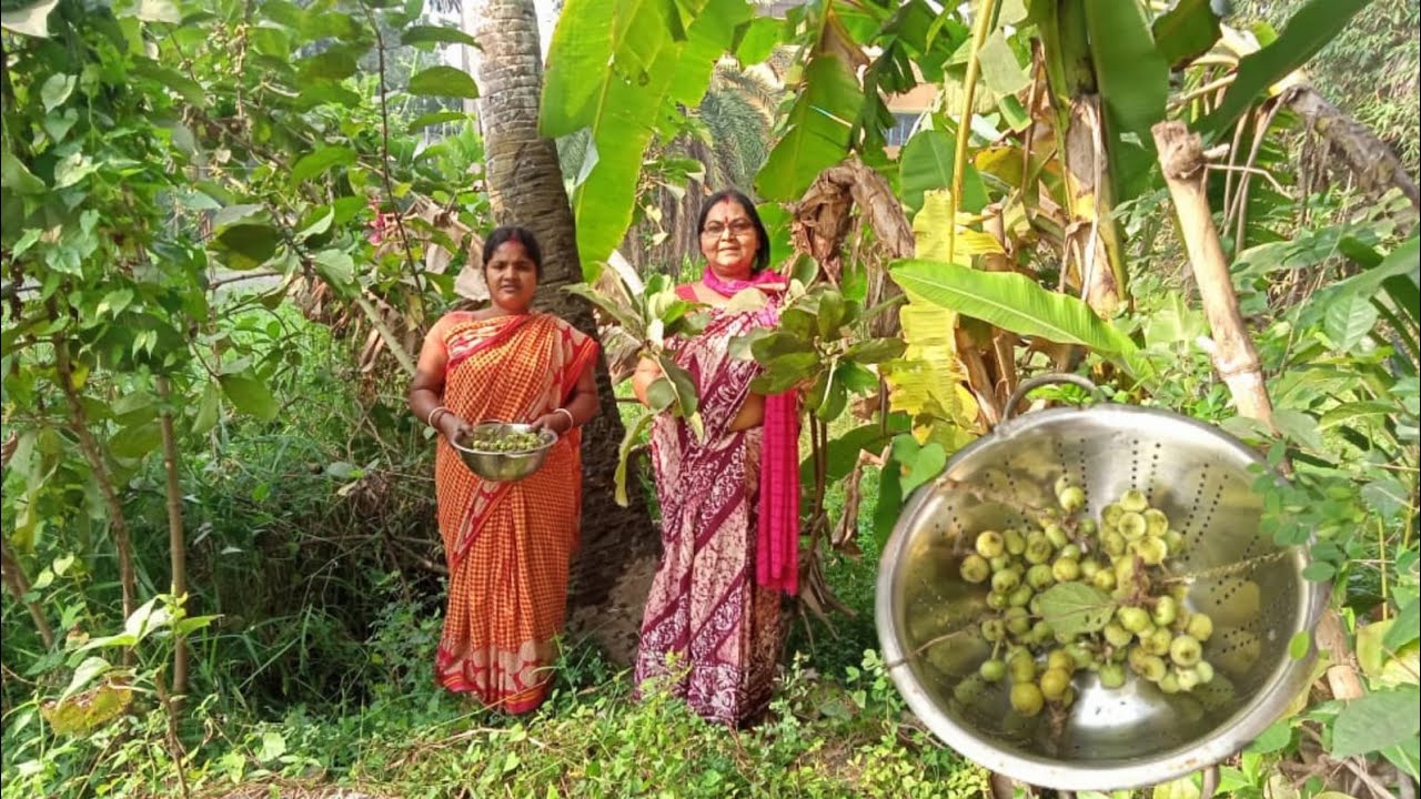 ডুমুর রান্নার এই স্বাদ না খেলে অজানাই থেকে যাবেBengali Dumurer RecipeFig Fruit Recipe YouTube