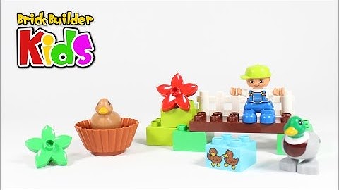 Lego DUPLO 10581 Forest: Ducks – Lego Speed Build for Kids