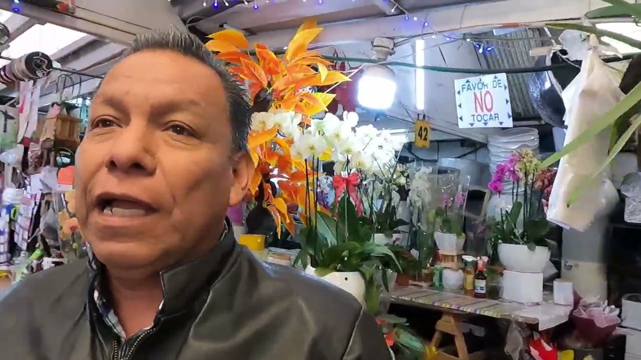 Venta de ORQUIDEAS naturales BARATAS en mercado de CUEMANCO, Xochimilco