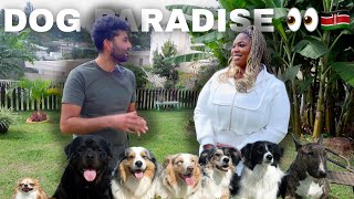 🐾  A DOG LOVER'S DREAM! Touring Nairobi’s FIRST 🐶 Café