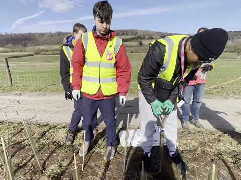 LD Care Tree Planting