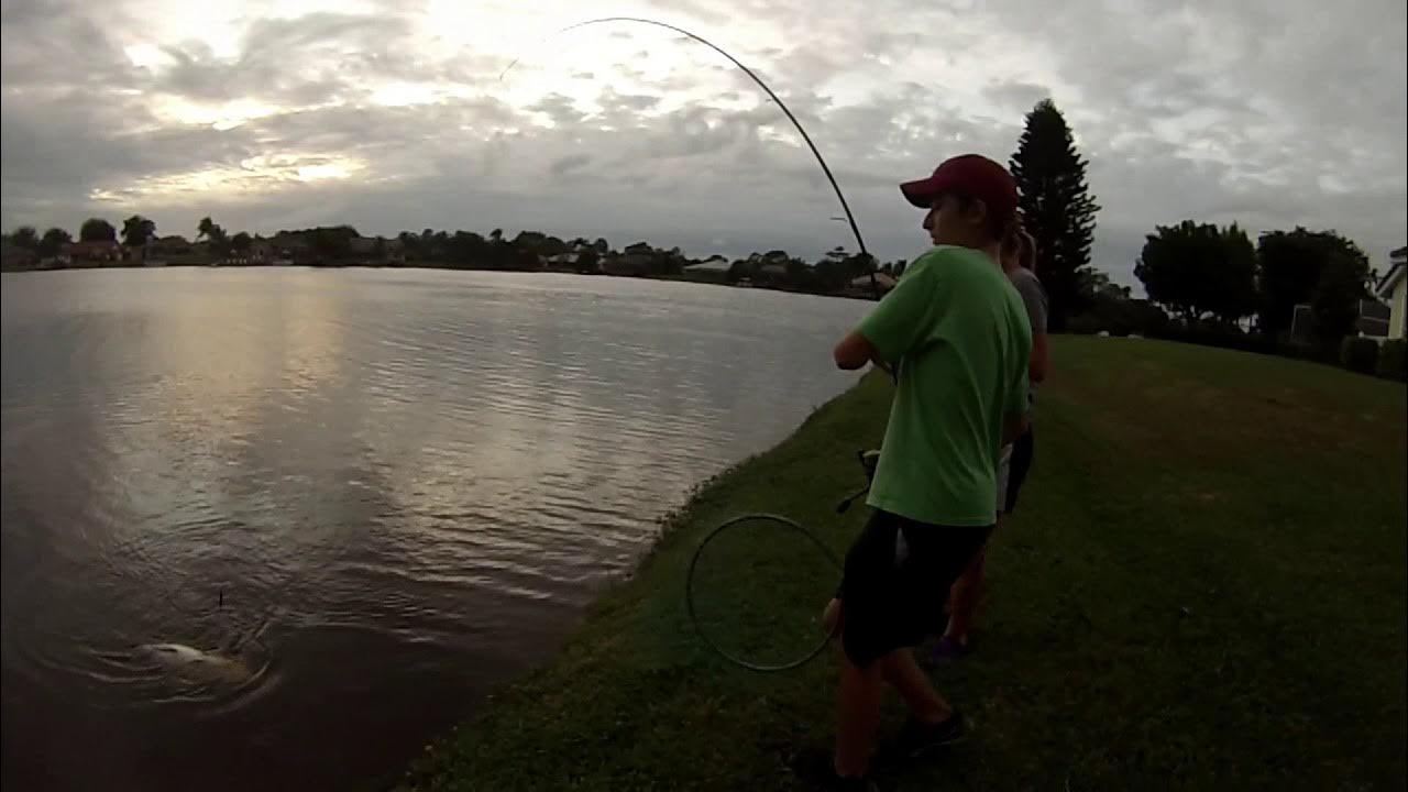 Snagging Carp YouTube