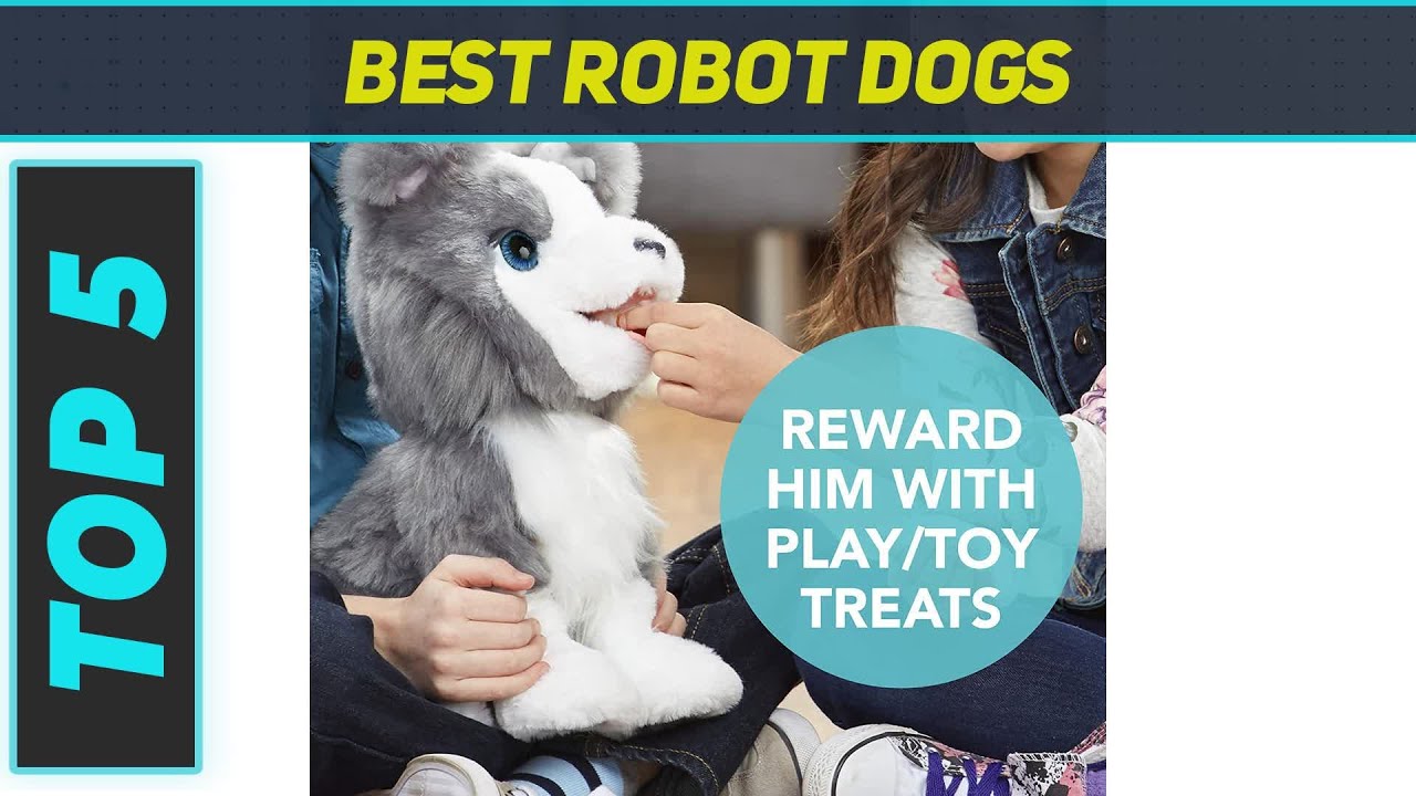 Top 5 Best Robot Dogs in 2023 YouTube