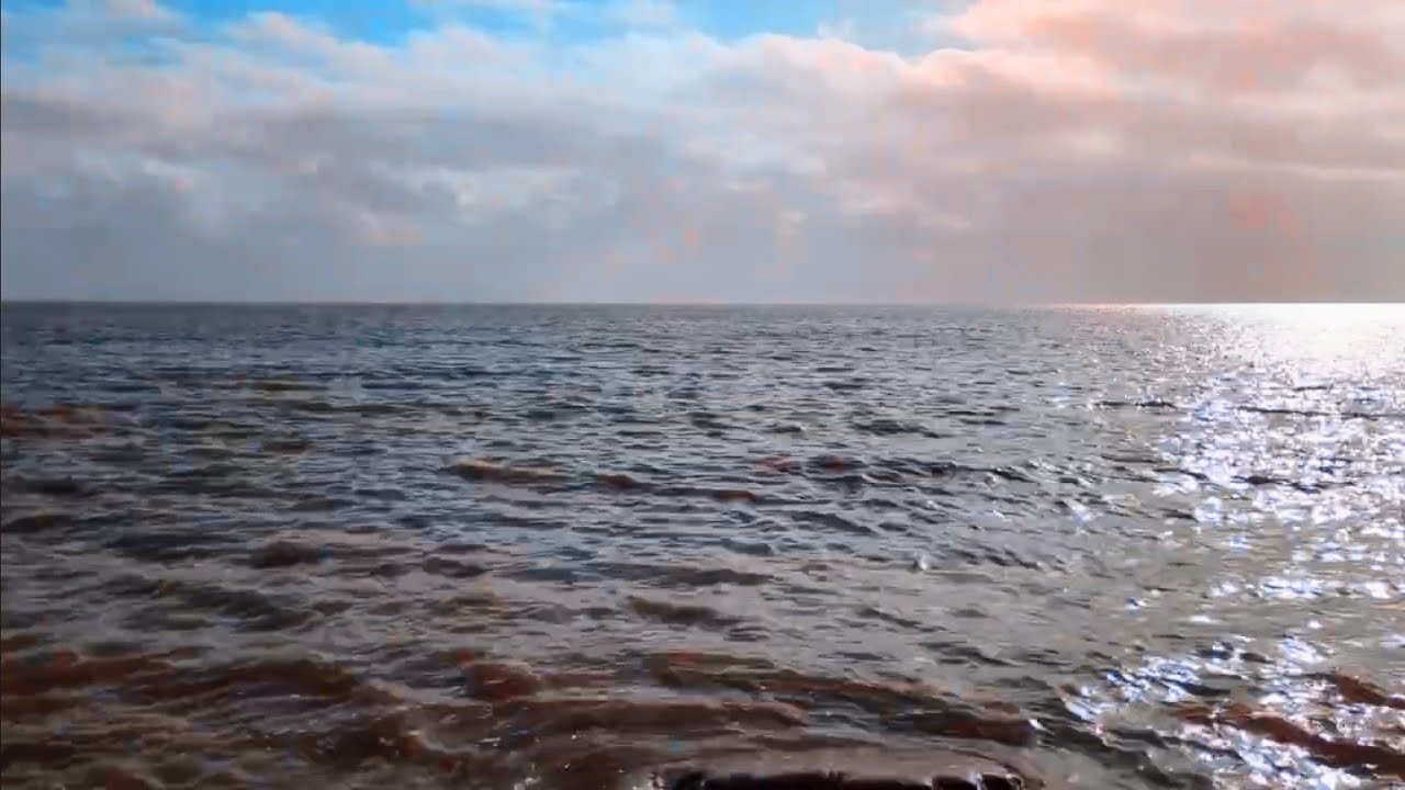 Slow Gentle Ocean Waves for Calm | Relaxing Beach Sounds for Sleep (No Music)