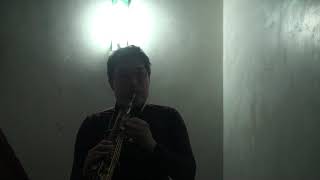METAL DUKOFF SOPRANO SAXOPHONE MOUTHPIECE TIP 67 TEST 曾令恩