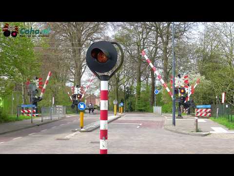 Spoorwegovergang -??4k??- Molenstraat, Vught, Noord Brabant // Dutch railroad crossing