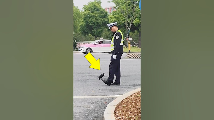 This Crow Heartwarming Act Will Shock You ❤️ #shorts