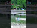Girl Rides Unpowered Hydrofoil on River – Silent Gliding 🌊🛹