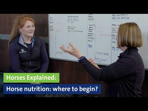 Horses Explained: Horse