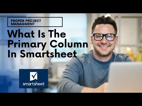 What Is The Primary Column In Smartsheet & Best Practices!