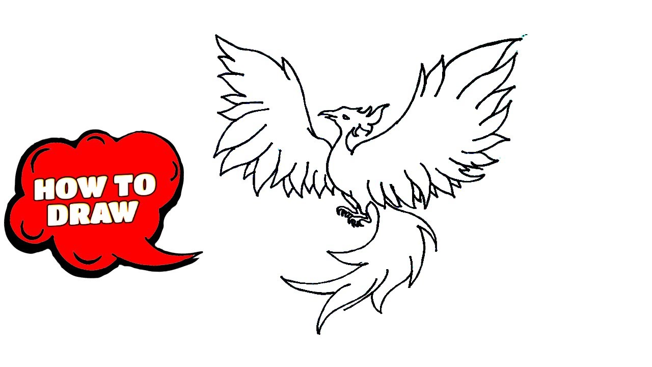 15 Easy Phoenix Drawing Ideas  How to Draw a Phoenix