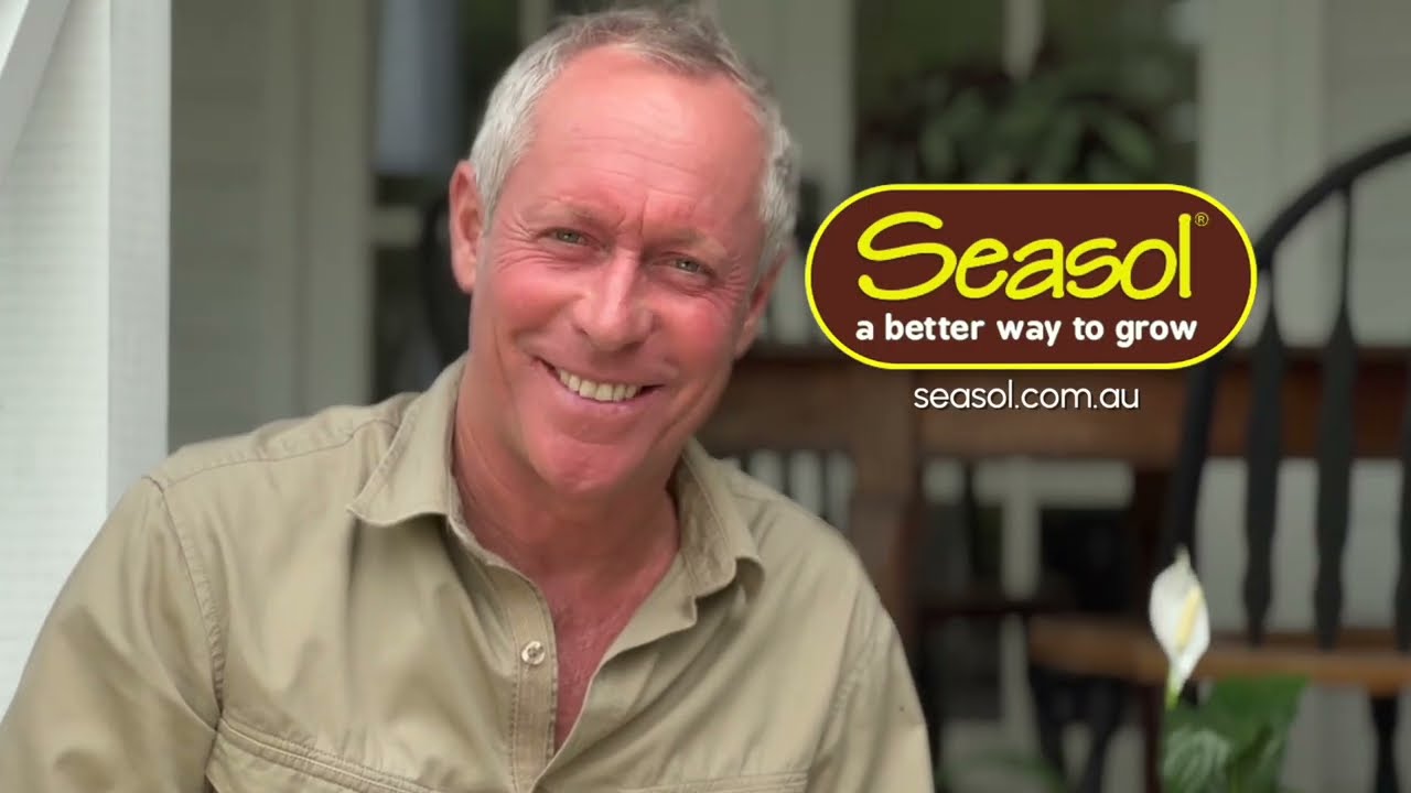 How to Indoor Plants - 1min