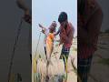 Tow Brother Haunting Shark with big katla fish bait #fishing #villagelife #fishingtips