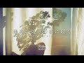 途中広告なし【Playlist】最高の気分の朝に聴く洋楽 | 作業用BGM | Chill & Relax