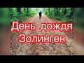 Слёзы леса | Двойная радуга | Звуки природы