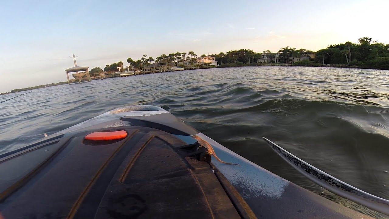 Kayak fishing lizard!