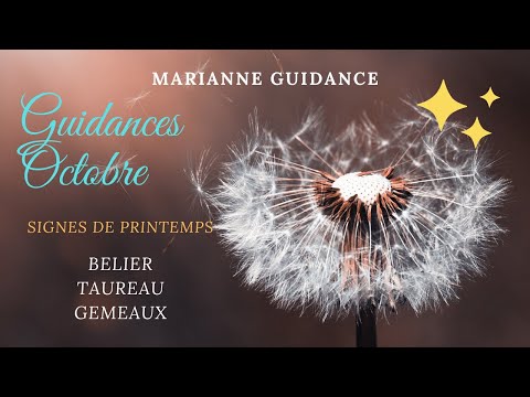Vidéo: Horoscope Amoureux 2020 : Bélier, Taureau, Gémeaux