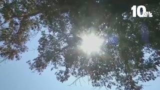 Daylight saving time ends: how it can impact your mental health