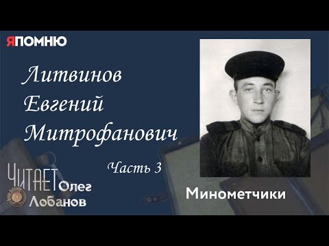 Литвинов Евгений Митрофанович. Часть 3. Проект "Я помню" Артема Драбкина. Минометчики.