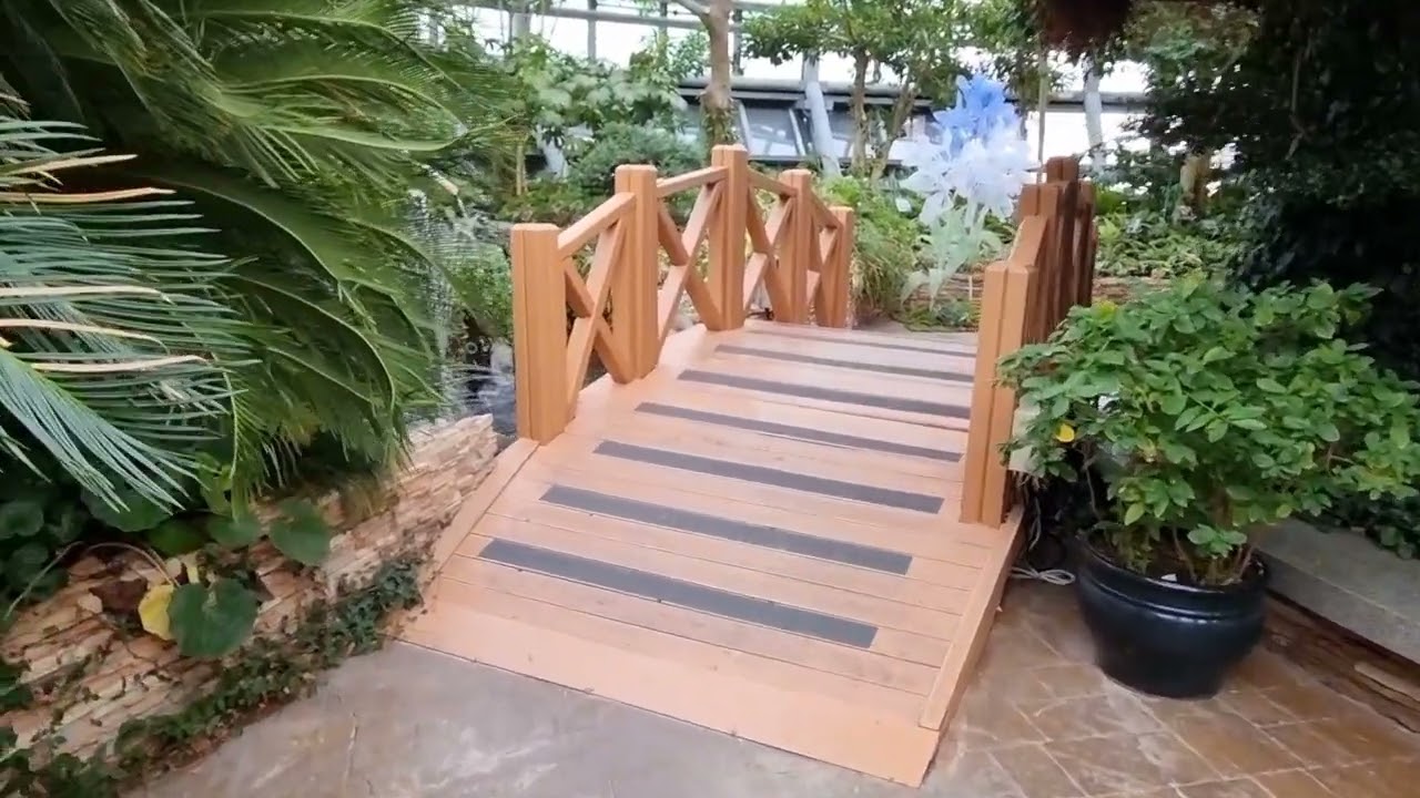 Indoor Botanical Garden Walk | National Science Museum Daejeon