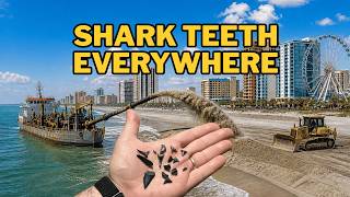 They Rebuilt the Beach… And We Found These