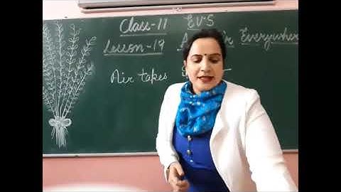 Class 2  EVS   Chapter 19  Part 1