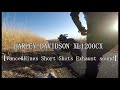 #34 HARLEY DAVIDSON XL1200CX 【Vance&Hines Short Shots Exhaust sound】