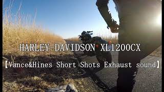 #34 HARLEY DAVIDSON XL1200CX 【Vance&Hines Short Shots Exhaust sound】