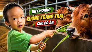 COMING HOME FROM SCHOOL DAD TOOK HUY HOANG TO THE FARM TO PLAY WITH THE COWS