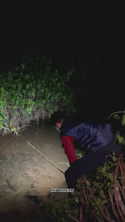 Put the fish traps in the evening and see the results in the morning🐟🥰✅