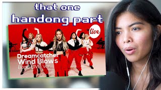 드림캐쳐(Dreamcatcher)의 “바람아(Wind Blows) Band Ver.” [reaction]