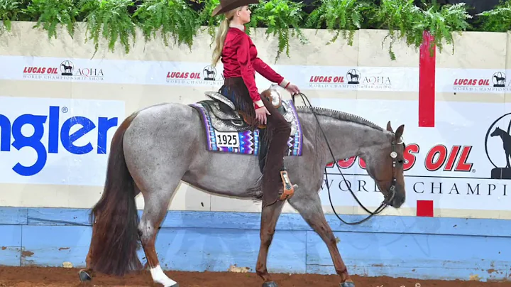 2019 AQHA Amateur Western Pleasure