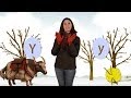 Learning the Letter Y